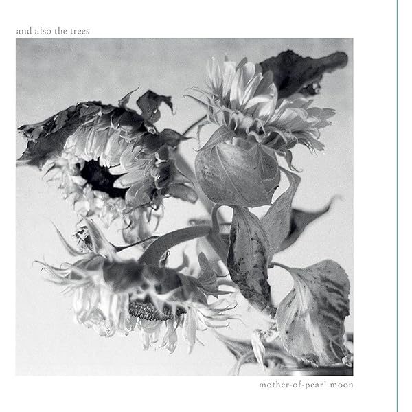 Amazon.co.jp: Farewell to the Shade: ミュージック